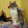 Отзыв от Вероника Селезнева